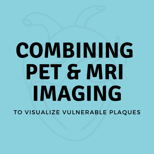 Combining PET/MRI imaging to visualize vulnerable plaques